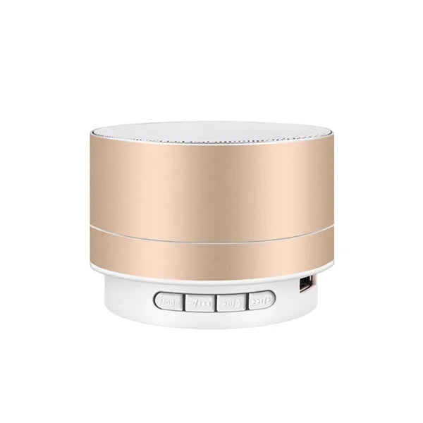 Wireless speaker