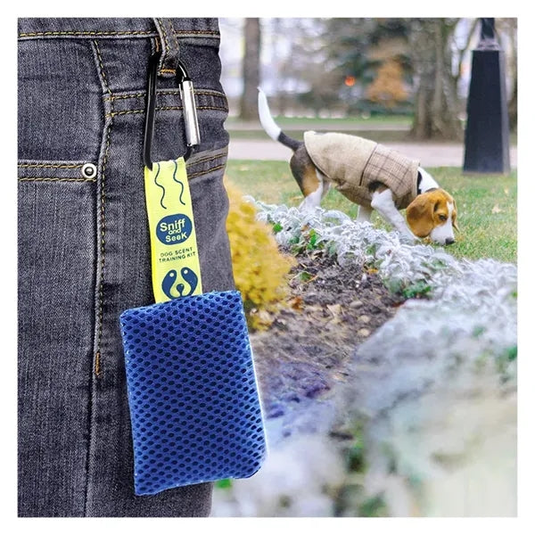 Dog Scent Training Kit, Nose Work Game Set