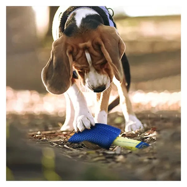 Dog Scent Training Kit, Nose Work Game Set