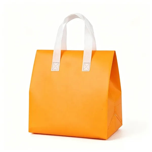 Insulated Lunch Tote with Hook and Loop Closure and Handle