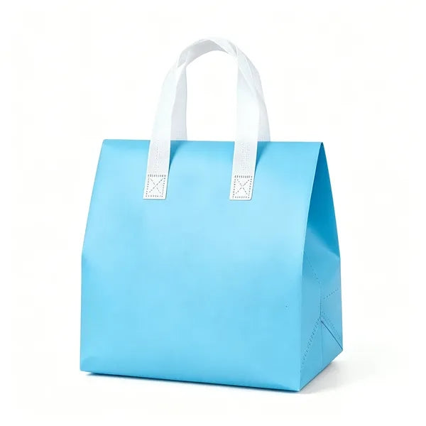 Insulated Lunch Tote with Hook and Loop Closure and Handle