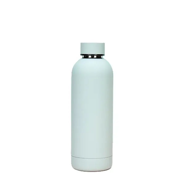 Small-Mouthed Stainless Bottle - 16 oz