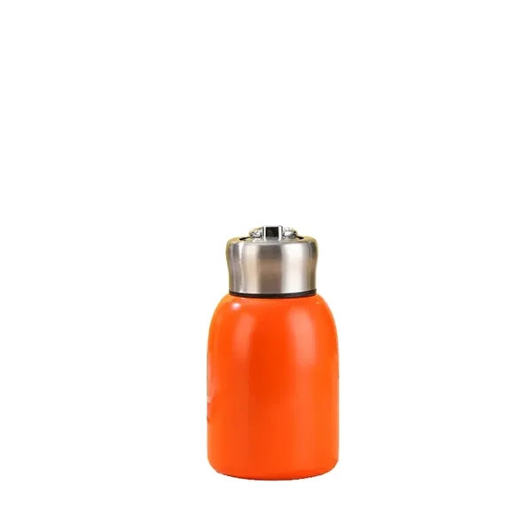 Mini Stainless Steel Water Bottle