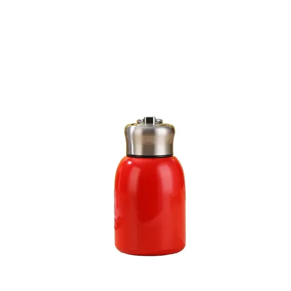 Mini Stainless Steel Water Bottle