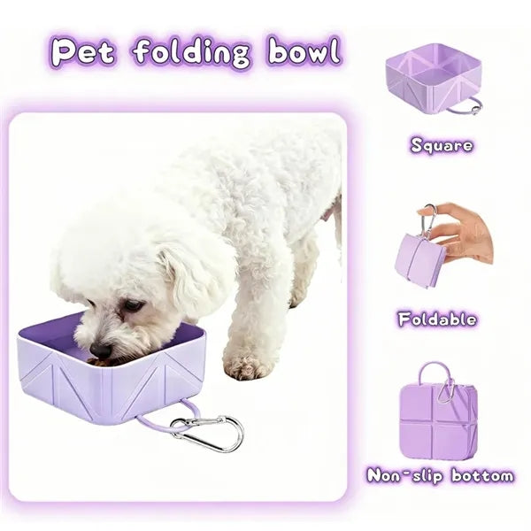 Collapsible Silicone Dog Bowl with Keychain