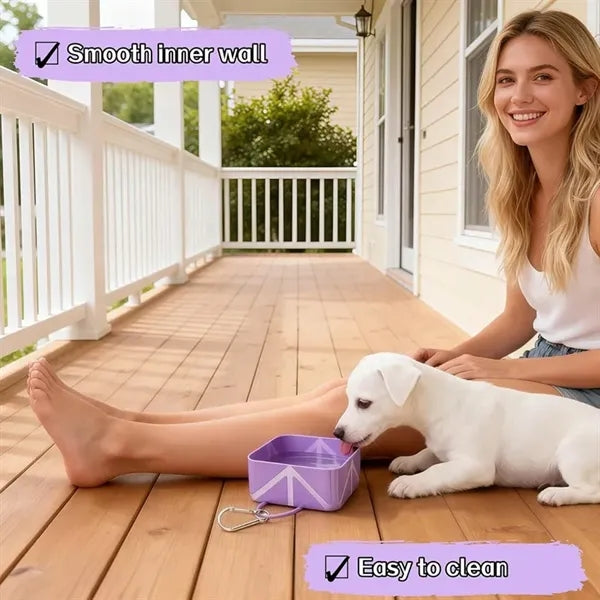 Collapsible Silicone Dog Bowl with Keychain