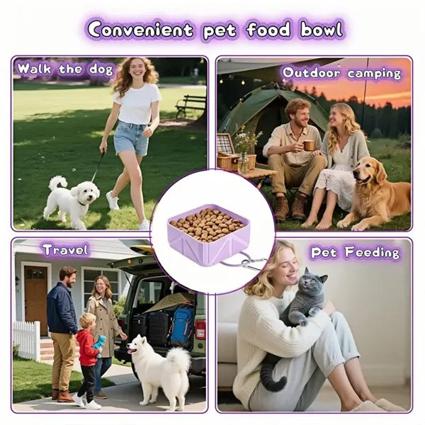Collapsible Silicone Dog Bowl with Keychain