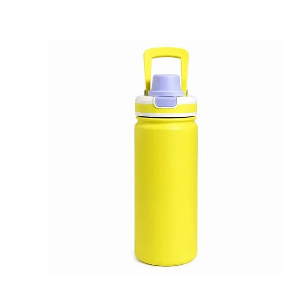 19oz Stainless Steel Vacuum Insulated Thermos Bottle w/ Lid