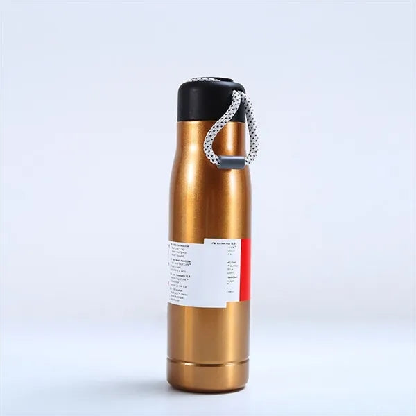 Insulated Stainless Steel Bottle