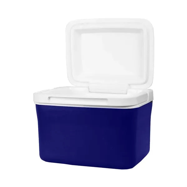 4.5L Portable Outdoor Insulated Cooler Box
