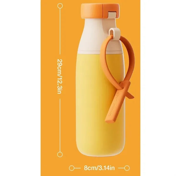 17oz Insulated Stainless Steel Water Bottle
