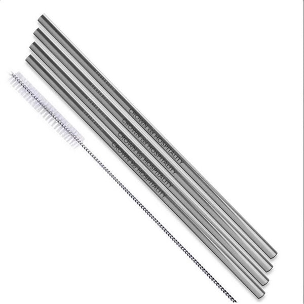 Silver Stainless Steel Straight Straw 4 pc Set