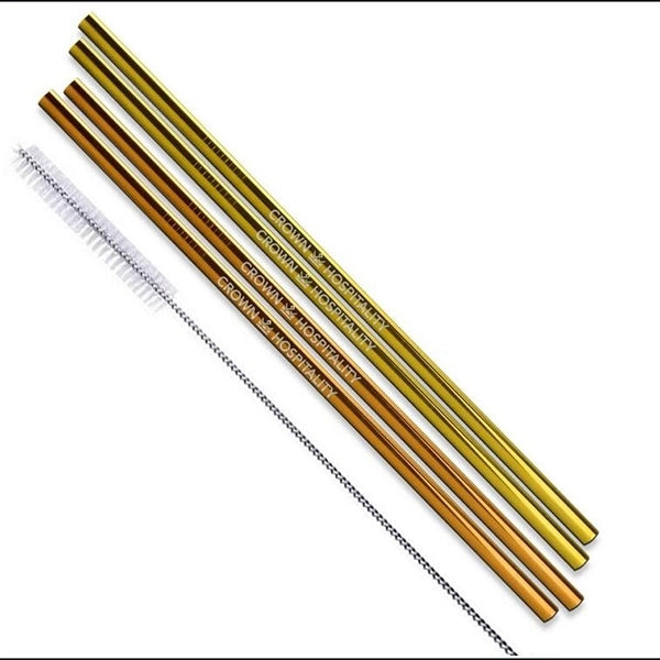 Gold & Copper Stainless Steel Straight Straw 4 pc Set