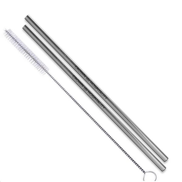 Silver Stainless Steel Straight Straw 2pc Set