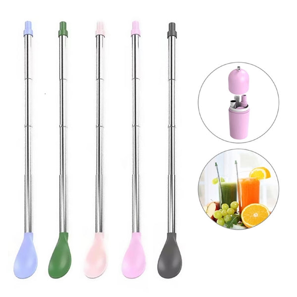 Telescopic Straw Spoon with Hard Case