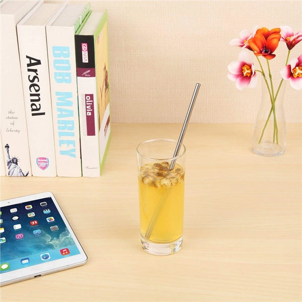 Silver Stainless Steel Straight Straw 4 pc Set