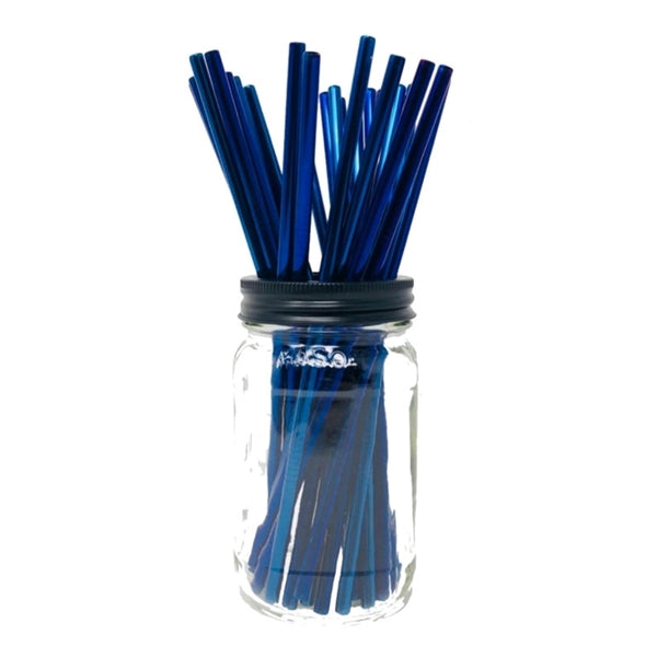 Black & Blue Stainless Steel Straight Straw 2 pc Set
