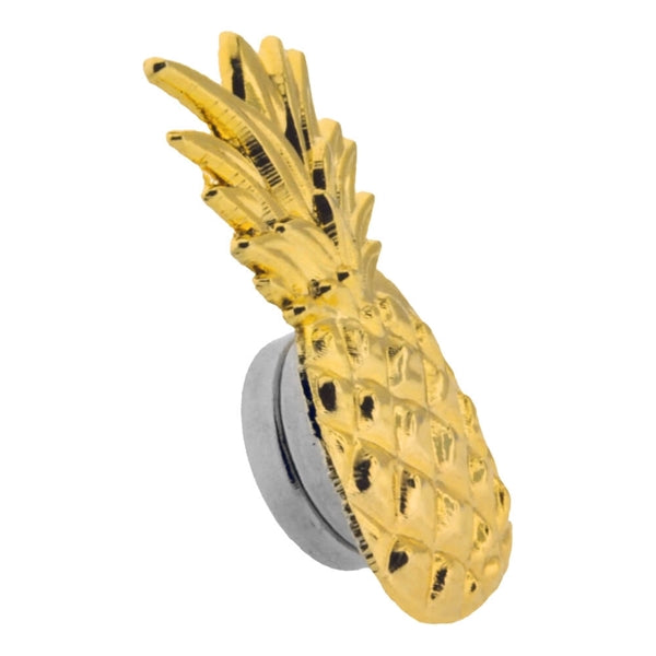 Golden Pineapple Pin Magnetic Back