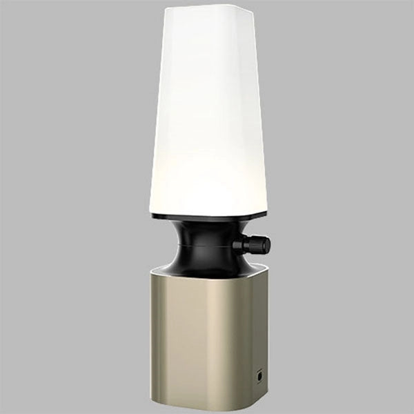 Rechargeable LED Desk Lamp