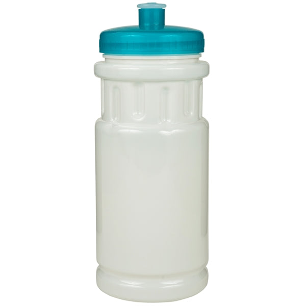 20 oz. Shoreline Bottle with Push Pull Lid