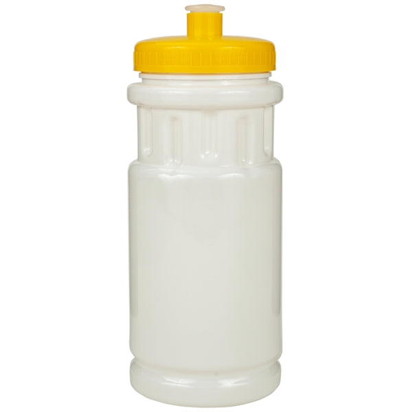 20 oz. Shoreline Bottle with Push Pull Lid