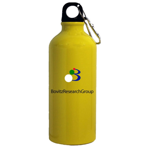 22 Oz. Aluminum Water Bottle w/Carabiner