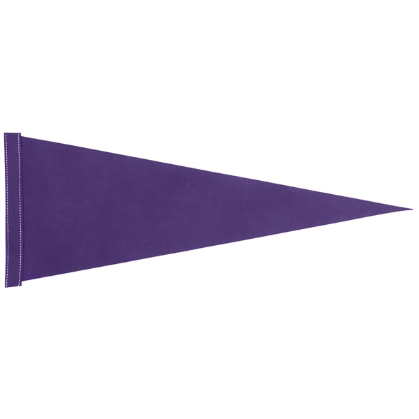 9" x 24" Colored Felt Pennant