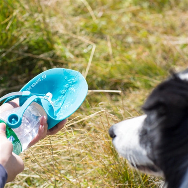 20OZ Pet Dog Travel Water Bottlle