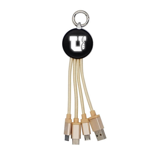 Metallic Logo Light Up Cable with Type C USB