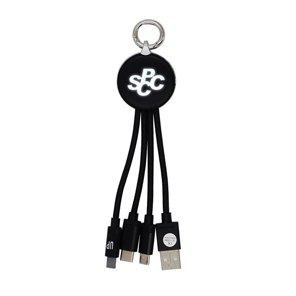 Metallic Logo Light Up Cable with Type C USB