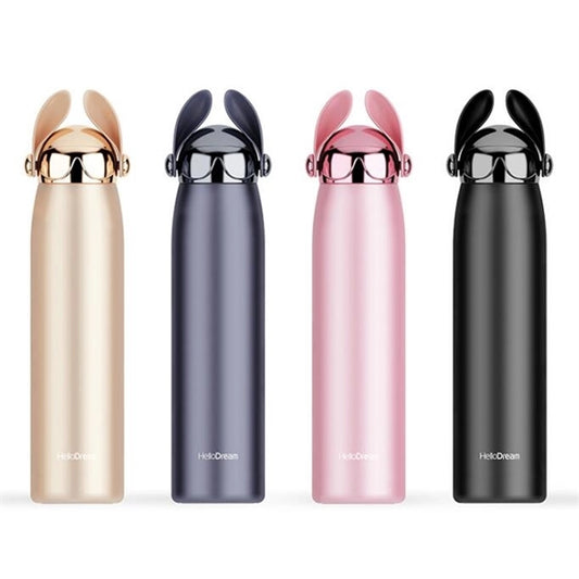 Stainless Steel Insulated Water Bottle