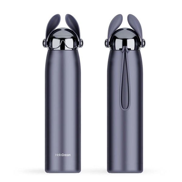 Stainless Steel Insulated Water Bottle