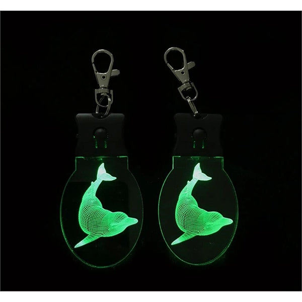 LED key chain