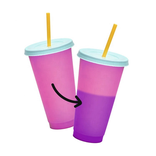 24 oz BPA Free Cold Water Color Changing Cup with Straw