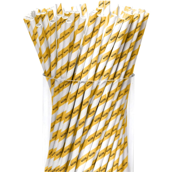 Recyclable Paper Straw