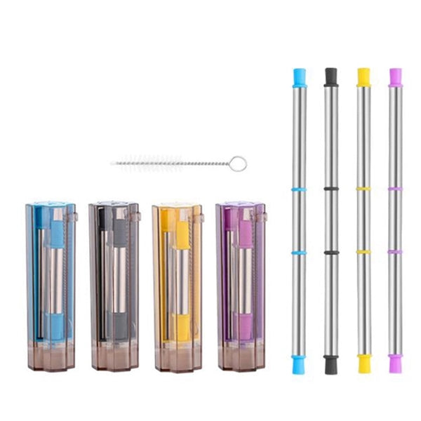 Collapsible Stainless Steel Straw Kit