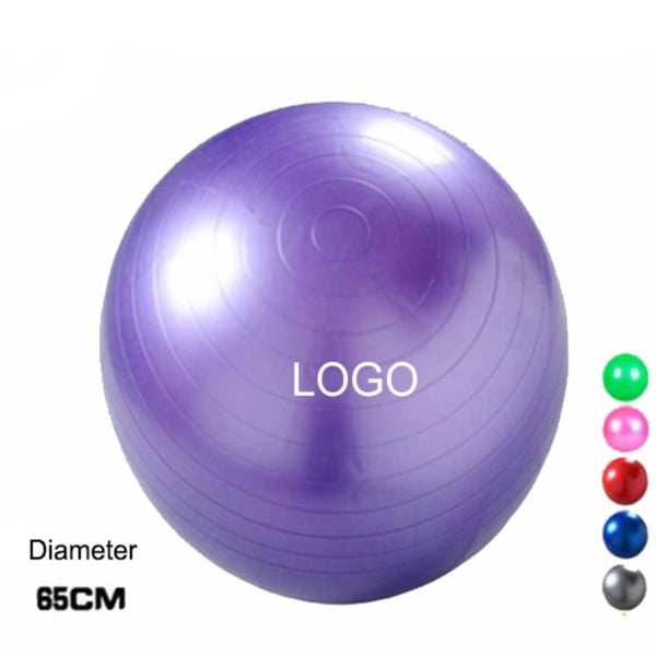 25 1/2" Exercise Gym Yoga Ball