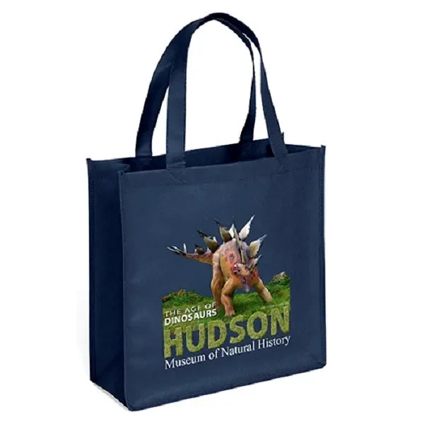 Abe Celebration Tote - ColorVista