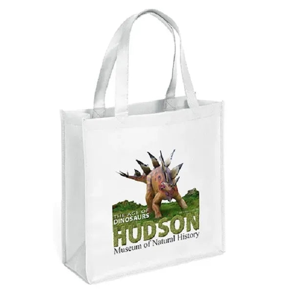 Abe Celebration Tote - ColorVista