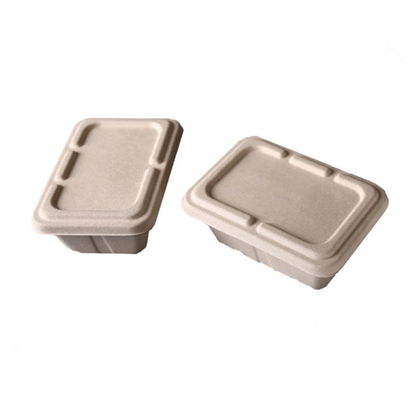 Eco Friendly Lunch Box