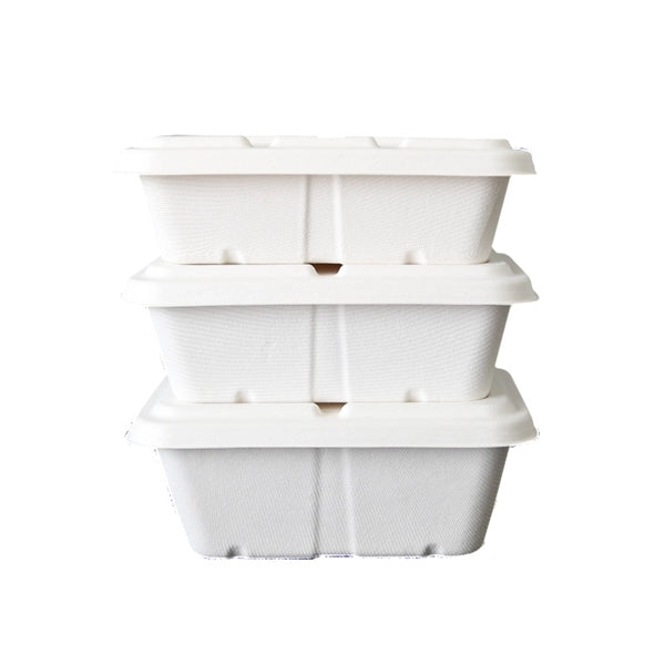 Eco Friendly Lunch Box