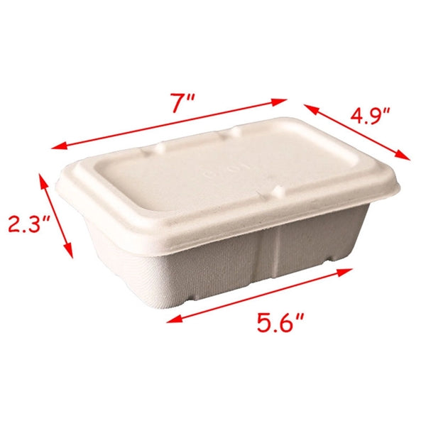 Eco Friendly Lunch Box