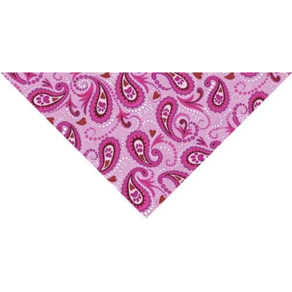 2-Layer Triangle Bandana w/ Full Color