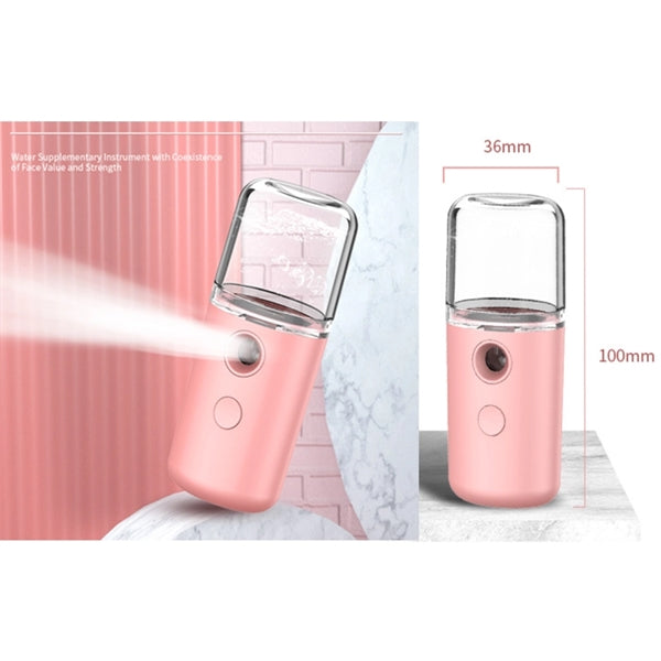 Mini Facial Sprayer