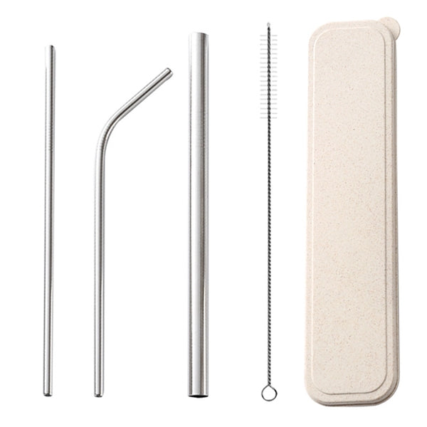 Stainless Straw On The GO Kit Large