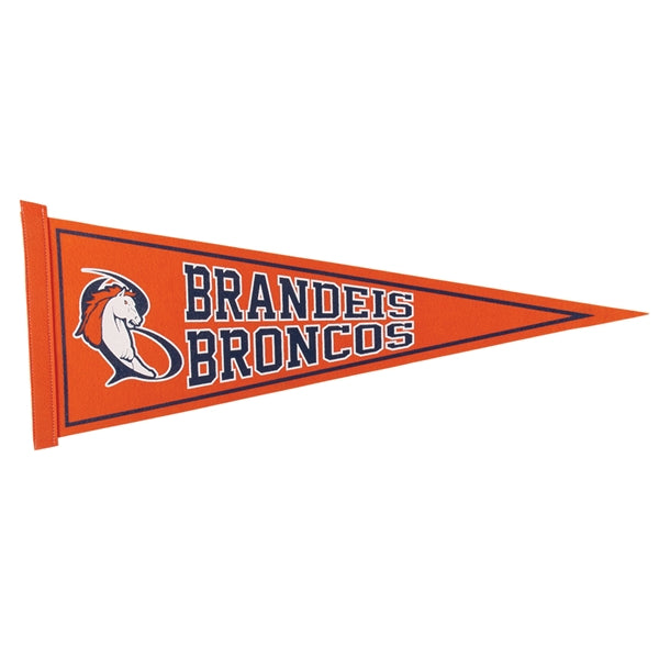 9" x 24" Colored Felt Pennant