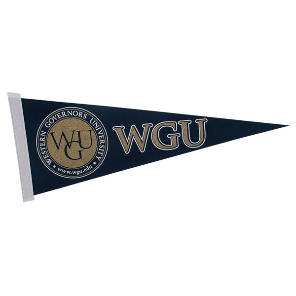 9" x 24" Colored Felt Pennant