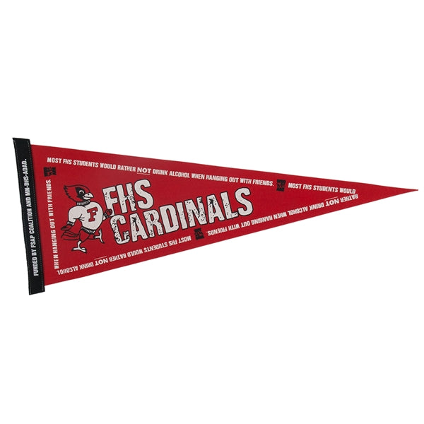 9" x 24" Colored Felt Pennant