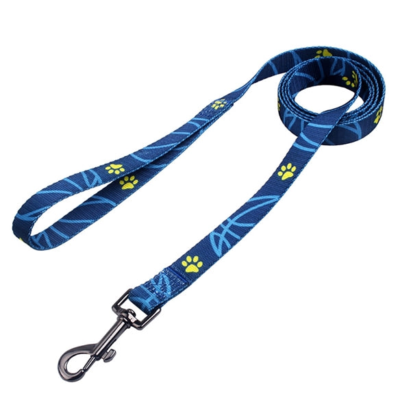 Outdoor Training Adjustable Collar Pet Leash Set