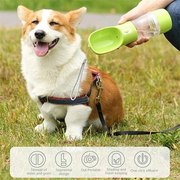 Pet Dog Water Bottle